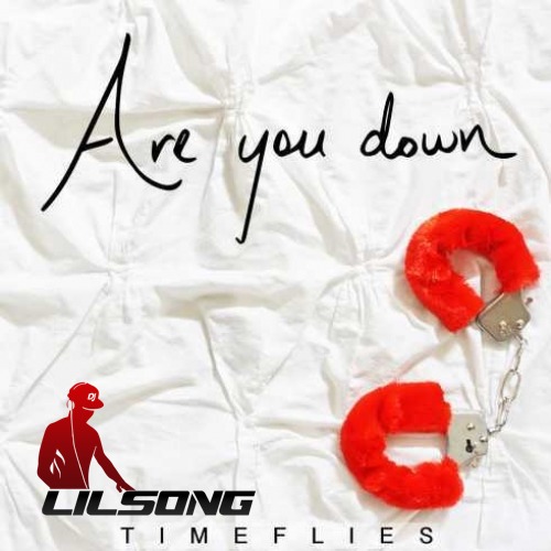 Timeflies - Are You Down